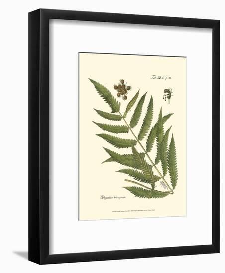 Small Antique Fern II-null-Framed Art Print