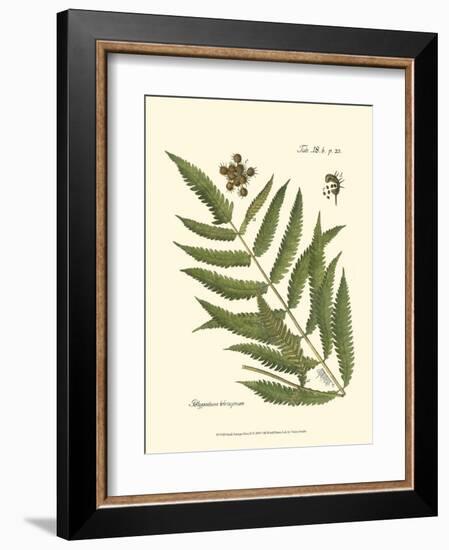 Small Antique Fern II-null-Framed Art Print