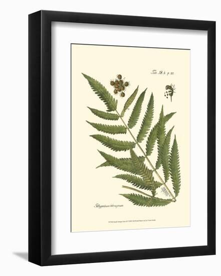 Small Antique Fern II-null-Framed Art Print