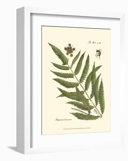 Small Antique Fern II-null-Framed Art Print