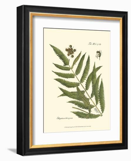 Small Antique Fern II-null-Framed Art Print