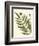 Small Antique Fern II-Vision Studio-Framed Art Print