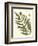 Small Antique Fern II-Vision Studio-Framed Art Print