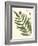 Small Antique Fern II-Vision Studio-Framed Art Print