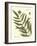 Small Antique Fern II-Vision Studio-Framed Art Print