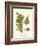 Small Antique Fern III-null-Framed Art Print