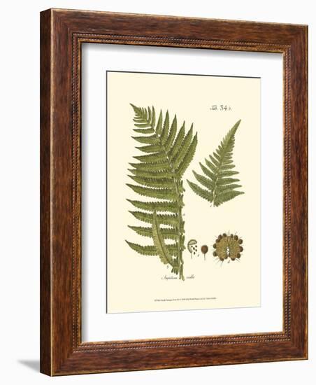 Small Antique Fern III-null-Framed Art Print