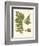 Small Antique Fern III-Vision Studio-Framed Art Print