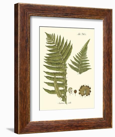 Small Antique Fern III-Vision Studio-Framed Art Print