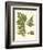 Small Antique Fern III-Vision Studio-Framed Art Print