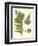 Small Antique Fern III-Vision Studio-Framed Art Print