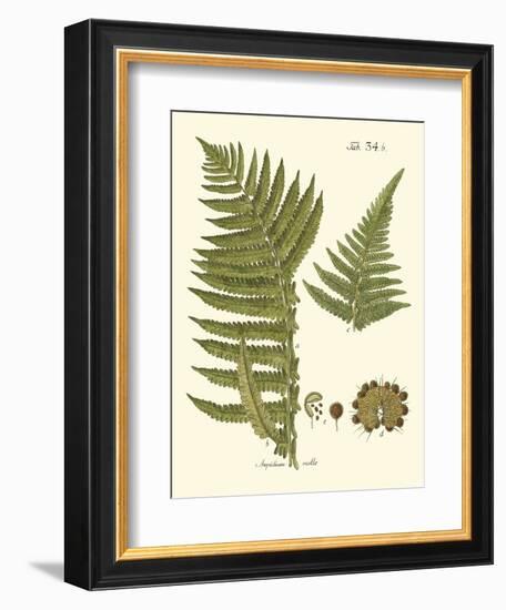 Small Antique Fern III-Vision Studio-Framed Art Print