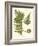 Small Antique Fern III-Vision Studio-Framed Art Print