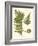 Small Antique Fern III-Vision Studio-Framed Art Print