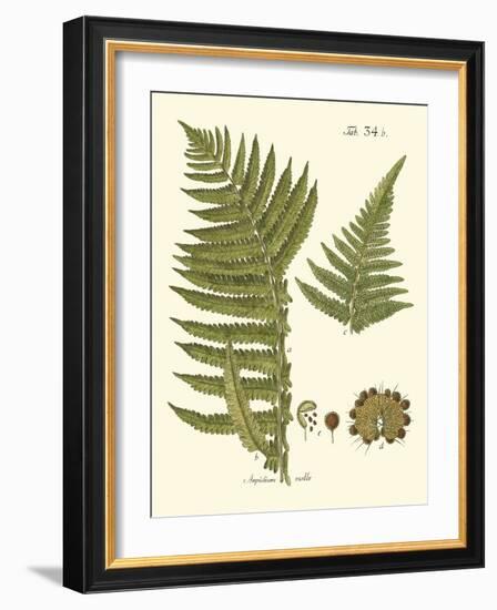 Small Antique Fern III-Vision Studio-Framed Art Print