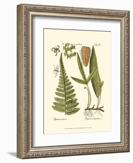 Small Antique Fern IV-null-Framed Art Print