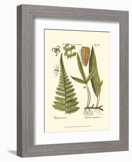 Small Antique Fern IV-null-Framed Art Print