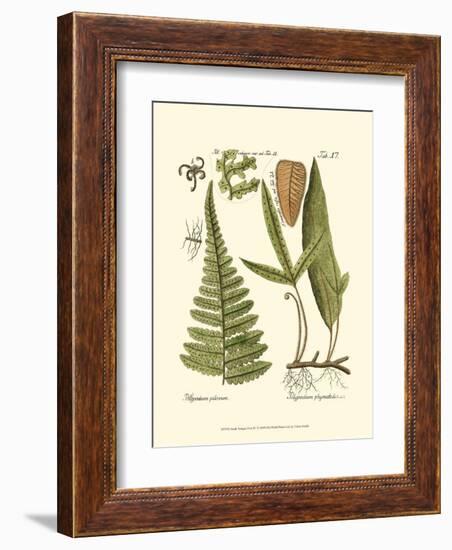 Small Antique Fern IV-null-Framed Art Print