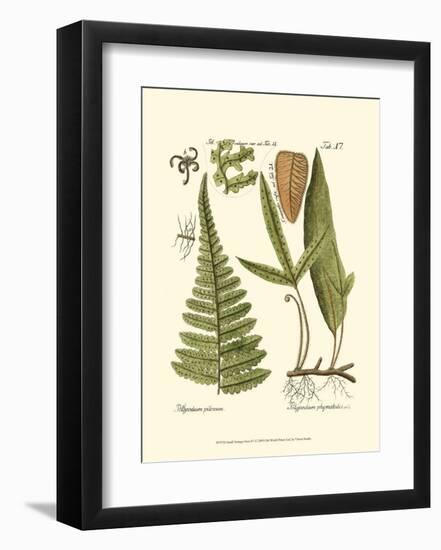 Small Antique Fern IV-null-Framed Art Print