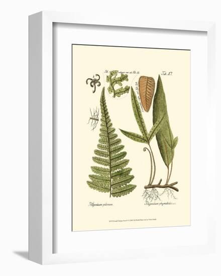 Small Antique Fern IV-null-Framed Art Print