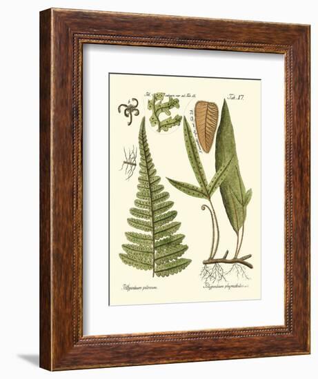 Small Antique Fern IV-Vision Studio-Framed Art Print