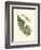 Small Antique Fern V-null-Framed Art Print