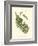 Small Antique Fern V-null-Framed Art Print