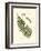 Small Antique Fern V-null-Framed Art Print