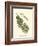 Small Antique Fern V-null-Framed Art Print