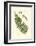 Small Antique Fern V-null-Framed Art Print