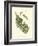 Small Antique Fern V-null-Framed Art Print