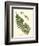 Small Antique Fern V-Vision Studio-Framed Premium Giclee Print