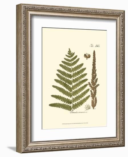 Small Antique Fern VI-null-Framed Art Print