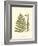 Small Antique Fern VI-null-Framed Art Print