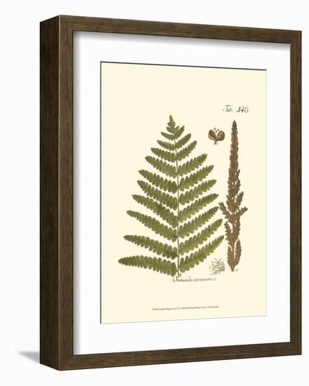 Small Antique Fern VI-null-Framed Art Print