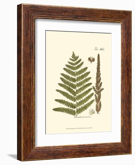 Small Antique Fern VI-null-Framed Art Print