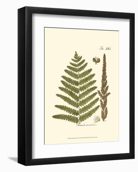 Small Antique Fern VI-null-Framed Art Print