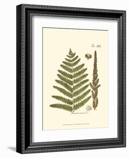 Small Antique Fern VI-null-Framed Art Print