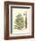 Small Antique Fern VI-Vision Studio-Framed Art Print