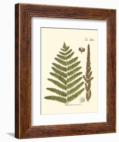 Small Antique Fern VI-Vision Studio-Framed Art Print