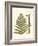 Small Antique Fern VI-Vision Studio-Framed Art Print