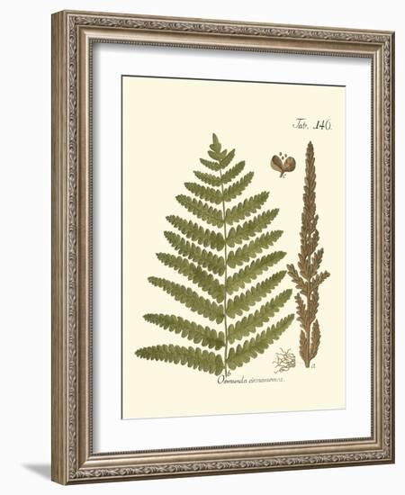 Small Antique Fern VI-Vision Studio-Framed Art Print