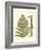 Small Antique Fern VI-Vision Studio-Framed Art Print