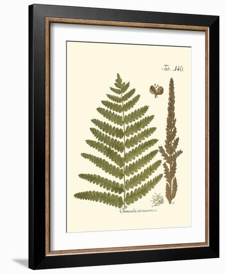 Small Antique Fern VI-Vision Studio-Framed Art Print