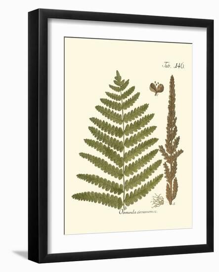 Small Antique Fern VI-Vision Studio-Framed Art Print