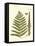 Small Antique Fern VI-Vision Studio-Framed Stretched Canvas