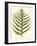 Small Antique Fern VIII-Vision Studio-Framed Art Print