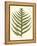 Small Antique Fern VIII-Vision Studio-Framed Stretched Canvas