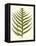 Small Antique Fern VIII-Vision Studio-Framed Stretched Canvas