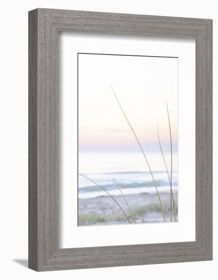Small Beach Grass-null-Framed Photographic Print